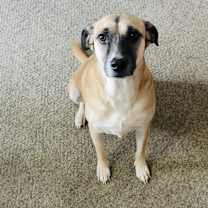 Thumbnail photo of Java #4