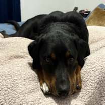 Thumbnail photo of Juneau #2