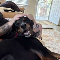 Thumbnail photo of Juneau #3