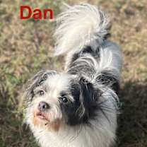 Thumbnail photo of Dan #2