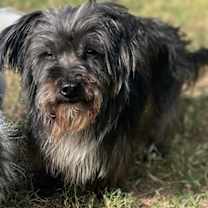 Thumbnail photo of Doran #1