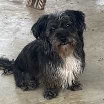 Thumbnail photo of Doran #4