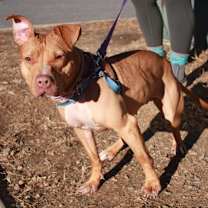 Thumbnail photo of Chappell #1