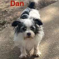 Thumbnail photo of Dan #3