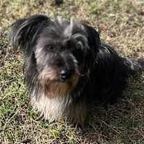 Thumbnail photo of Doran #2