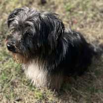 Thumbnail photo of Doran #3