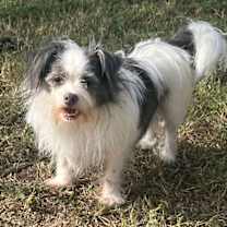 Thumbnail photo of Dan #1