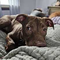 Thumbnail photo of Jinx #1