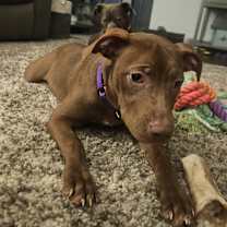 Thumbnail photo of Jinx #2