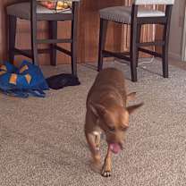 Thumbnail photo of Lillia #3