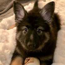 Thumbnail photo of Giuliana #1