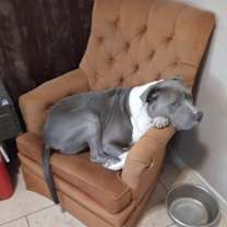 Thumbnail photo of Deuce #2