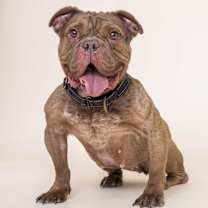 Thumbnail photo of Hunny #2