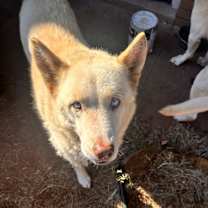 Thumbnail photo of Kara #3