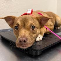 Thumbnail photo of 937 (2025) Serenity #1