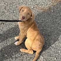 Thumbnail photo of 960 (2025) #4