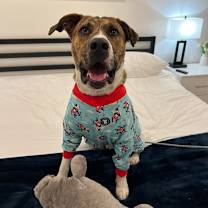 Thumbnail photo of Chuck #1