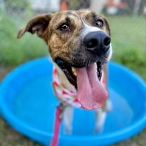 Thumbnail photo of Chuck #4