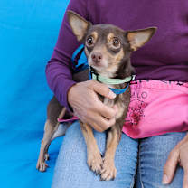 Thumbnail photo of ZESTY #3