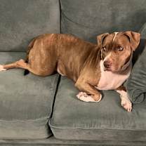 Thumbnail photo of BONNY #1