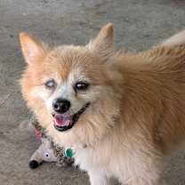 Thumbnail photo of Rudy #2