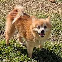 Thumbnail photo of Rudy #3