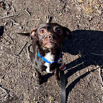 Thumbnail photo of Stuffing #4