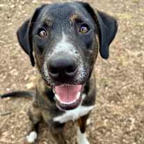 Thumbnail photo of Jim K8 #1