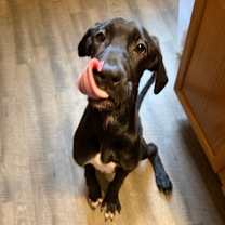 Thumbnail photo of Tina #3