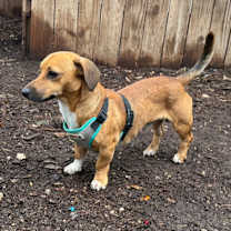 Thumbnail photo of Robbie #4