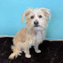 Thumbnail photo of Maisie #2