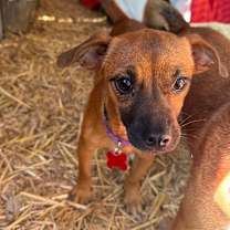 Thumbnail photo of Karma #2