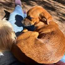 Thumbnail photo of Karma #3