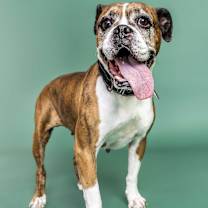 Thumbnail photo of Bonnie #2