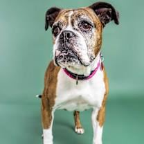 Thumbnail photo of Bonnie #3