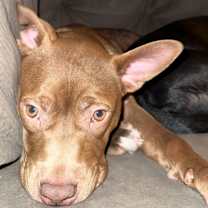 Thumbnail photo of Pumkin #2