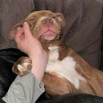 Thumbnail photo of Pumkin #3