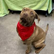 Thumbnail photo of Drummer Boy #2