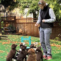 Thumbnail photo of Stetson #4