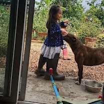 Thumbnail photo of Gracie #1