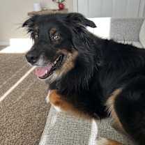 Thumbnail photo of Jackson #3