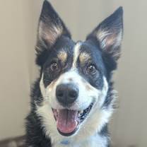 Thumbnail photo of Mac #2