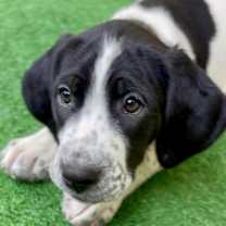 Thumbnail photo of Jersey #1