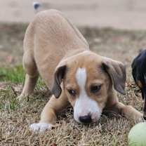 Thumbnail photo of Natalie #2