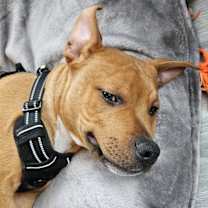 Thumbnail photo of Captain #1