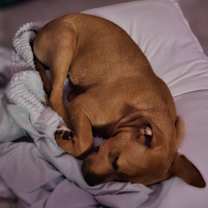 Thumbnail photo of Captain #3