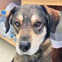 Thumbnail photo of Titan #1