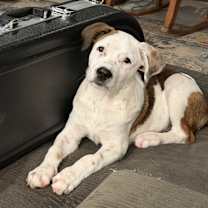 Thumbnail photo of Zo #3