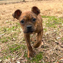 Thumbnail photo of (Hold) Eggnog  #1