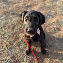 Thumbnail photo of Myra #1